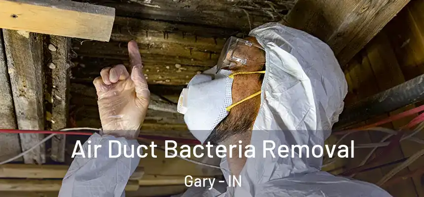 Air Duct Bacteria Removal Gary - IN