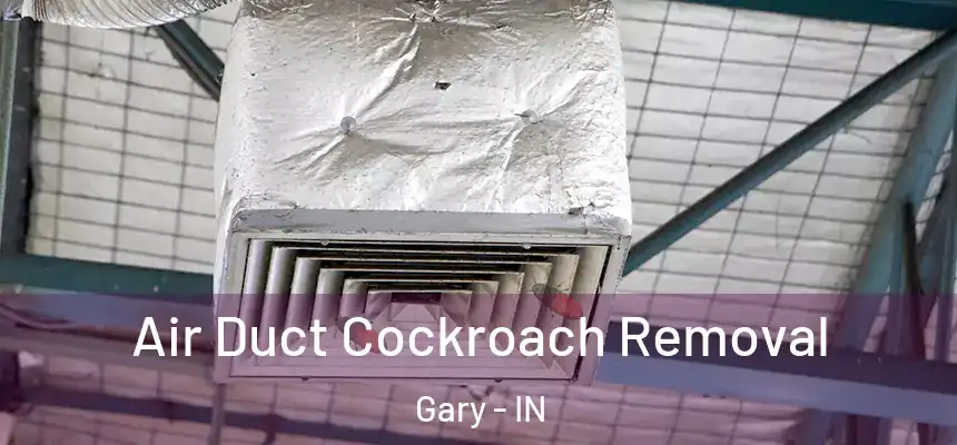 Air Duct Cockroach Removal Gary - IN
