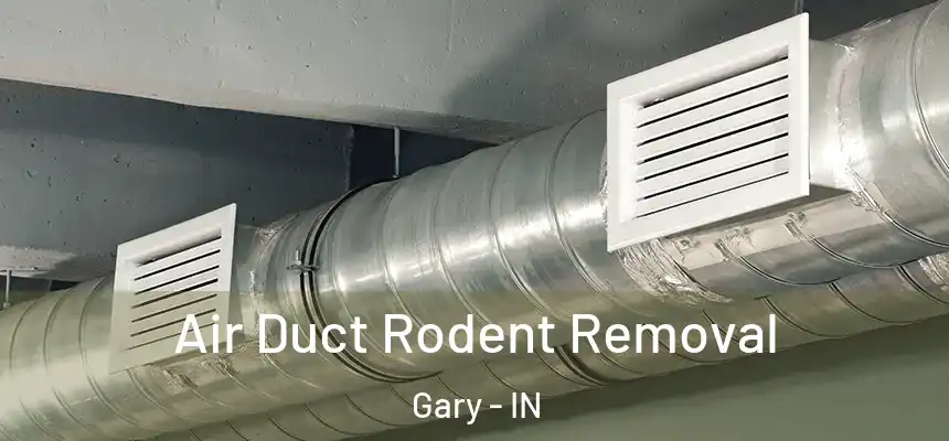  Air Duct Rodent Removal Gary - IN