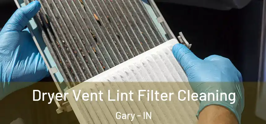  Dryer Vent Lint Filter Cleaning Gary - IN