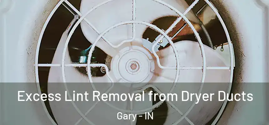 Excess Lint Removal from Dryer Ducts Gary - IN
