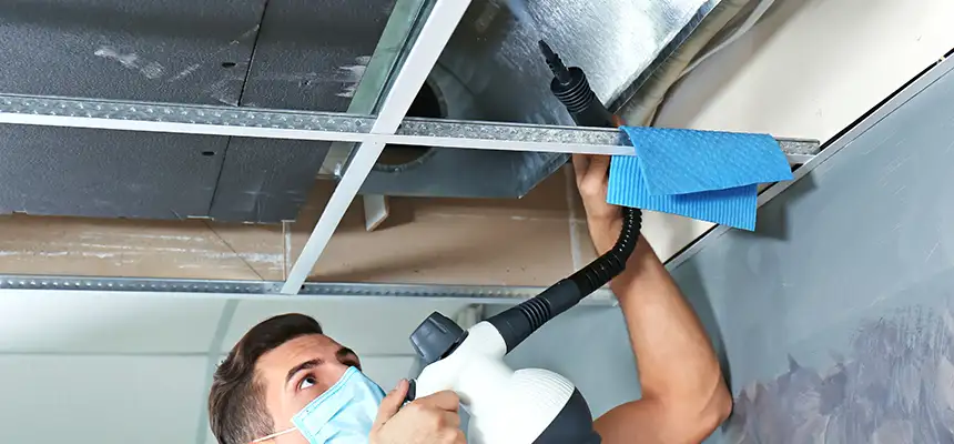 Our Air Duct Rodent Removal Services in Gary, IN