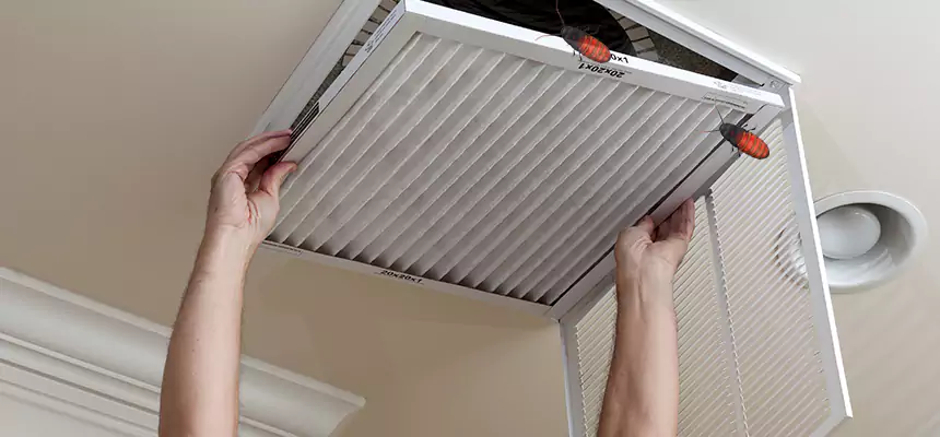 Our Insect Removal from Air Ducts Services in Gary, IN