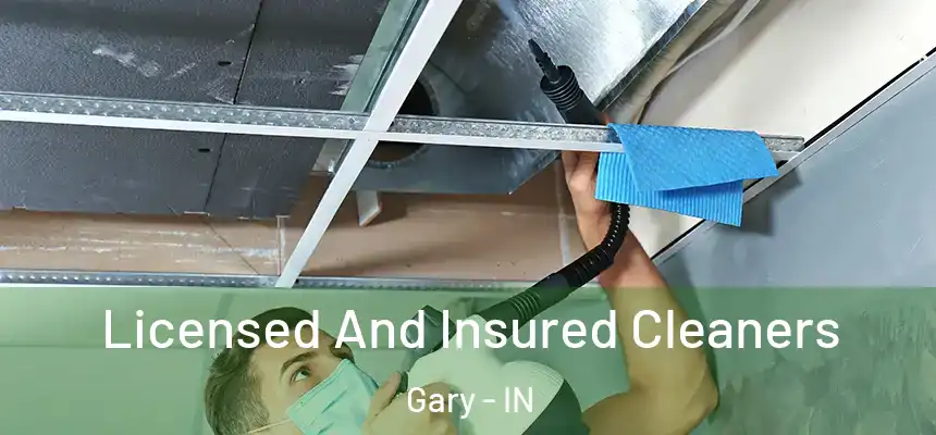 Licensed And Insured Cleaners Gary - IN