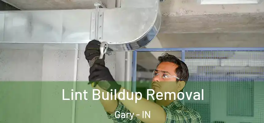  Lint Buildup Removal Gary - IN