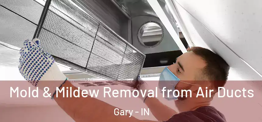 Mold & Mildew Removal from Air Ducts Gary - IN