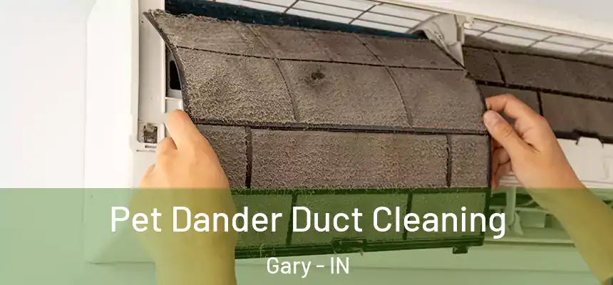 Pet Dander Duct Cleaning Gary - IN
