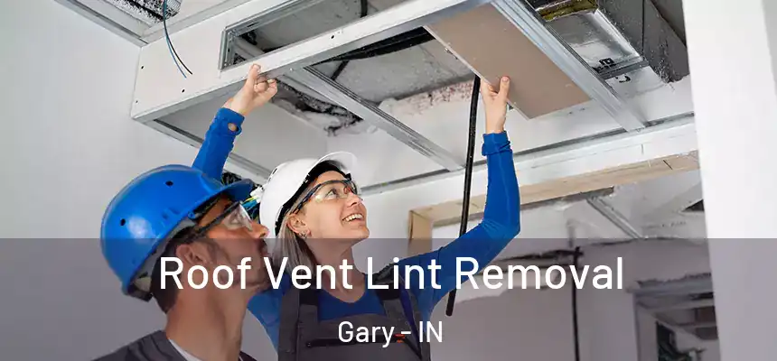 Roof Vent Lint Removal Gary - IN