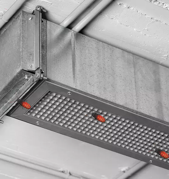 Affordable Insect Removal from Air Ducts in Gary, IN
