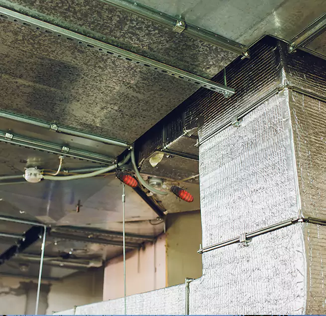 Why Homeowners & Businesses Trust Us in Gary, IN?