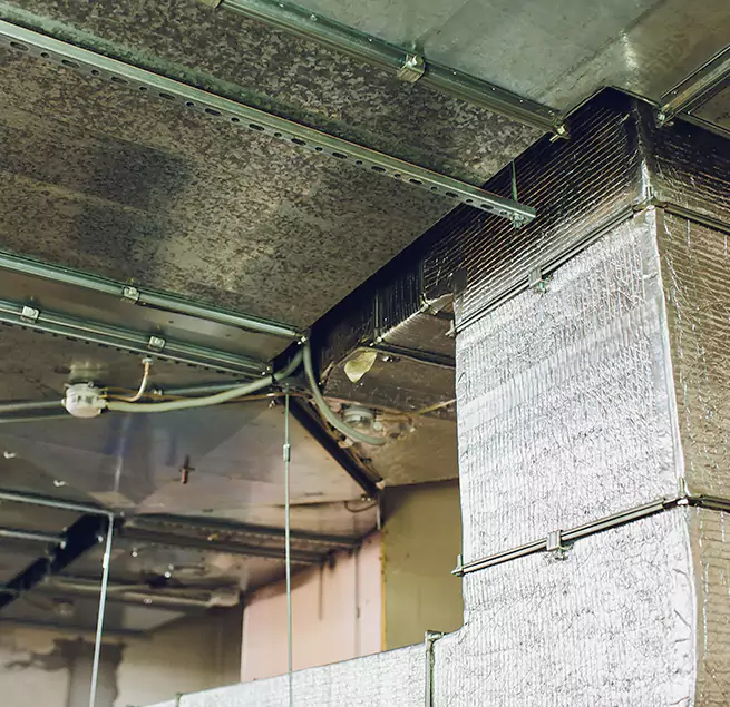 Why Homeowners & Businesses Trust Us in Gary, IN?